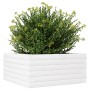 Jardinera de madera maciza de pino blanco 50x50x23 cm en Macetas y jardineras | Comprar online en Foru.es