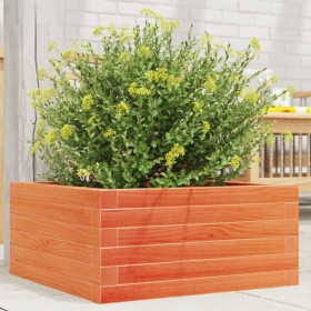 Jardinera de madera maciza de pino marrón cera 50x50x23 cm en Macetas y jardineras | Comprar online en Foru.es