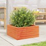 Jardinera de madera maciza de pino marrón cera 50x50x23 cm en Macetas y jardineras | Comprar online en Foru.es