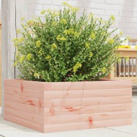 Jardinera de madera maciza Douglas 50x50x23 cm en Macetas y jardineras | Comprar online en Foru.es