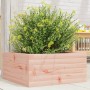 Jardinera de madera maciza Douglas 50x50x23 cm en Macetas y jardineras | Comprar online en Foru.es