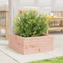 Jardinera de madera maciza Douglas 50x50x23 cm en Macetas y jardineras | Comprar online en Foru.es