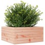 Jardinera de madera maciza Douglas 50x50x23 cm en Macetas y jardineras | Comprar online en Foru.es