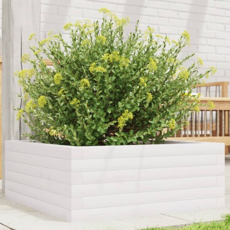 Jardinera de madera maciza de pino blanca 60x60x23 cm en Macetas y jardineras | Comprar online en Foru.es