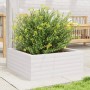 Jardinera de madera maciza de pino blanca 60x60x23 cm en Macetas y jardineras | Comprar online en Foru.es