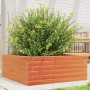 Jardinera de madera maciza pino marrón cera 60x60x23 cm en Macetas y jardineras | Comprar online en Foru.es