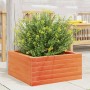 Jardinera de madera maciza pino marrón cera 60x60x23 cm en Macetas y jardineras | Comprar online en Foru.es