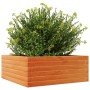 Jardinera de madera maciza pino marrón cera 60x60x23 cm en Macetas y jardineras | Comprar online en Foru.es