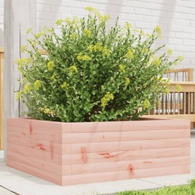 Jardinera de madera maciza de abeto Douglas 60x60x23 cm en Macetas y jardineras | Comprar online en Foru.es
