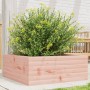Jardinera de madera maciza de abeto Douglas 60x60x23 cm en Macetas y jardineras | Comprar online en Foru.es