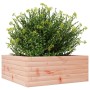 Jardinera de madera maciza de abeto Douglas 60x60x23 cm en Macetas y jardineras | Comprar online en Foru.es