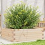 Jardinera de madera maciza de pino 70x70x23 cm en Macetas y jardineras | Comprar online en Foru.es