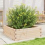 Jardinera de madera maciza de pino 70x70x23 cm en Macetas y jardineras | Comprar online en Foru.es