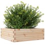 Jardinera de madera maciza de pino 70x70x23 cm en Macetas y jardineras | Comprar online en Foru.es