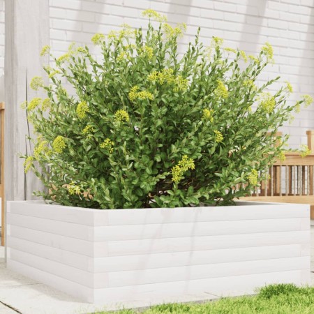 Jardinera de madera maciza de pino blanca 70x70x23 cm en Macetas y jardineras | Comprar online en Foru.es
