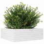 Jardinera de madera maciza de pino blanca 70x70x23 cm en Macetas y jardineras | Comprar online en Foru.es