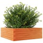 Jardinera de madera maciza pino marrón cera 70x70x23 cm en Macetas y jardineras | Comprar online en Foru.es