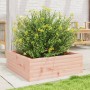 Jardinera madera maciza de abeto Douglas 70x70x23 cm en Macetas y jardineras | Comprar online en Foru.es