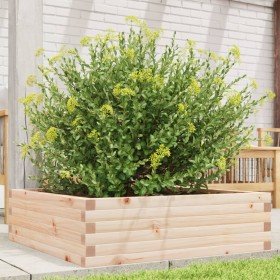 Jardinera de madera maciza de pino 80x80x23 cm en Macetas y jardineras | Comprar online en Foru.es