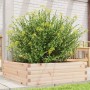 Jardinera de madera maciza de pino 80x80x23 cm en Macetas y jardineras | Comprar online en Foru.es