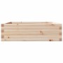 Jardinera de madera maciza de pino 80x80x23 cm en Macetas y jardineras | Comprar online en Foru.es