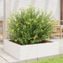 Jardinera de madera maciza de pino blanca 80x80x23 cm en Macetas y jardineras | Comprar online en Foru.es