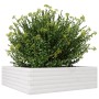 Jardinera de madera maciza de pino blanca 80x80x23 cm en Macetas y jardineras | Comprar online en Foru.es