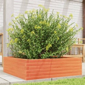 Jardinera de madera maciza pino marrón cera 80x80x23 cm en Macetas y jardineras | Comprar online en Foru.es