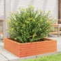 Jardinera de madera maciza pino marrón cera 80x80x23 cm en Macetas y jardineras | Comprar online en Foru.es