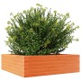 Jardinera de madera maciza pino marrón cera 80x80x23 cm en Macetas y jardineras | Comprar online en Foru.es