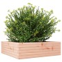 Jardinera de madera maciza Douglas 80x80x23 cm en Macetas y jardineras | Comprar online en Foru.es