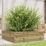 Jardinera de madera de pino impregnada 80x80x23 cm en Macetas y jardineras | Comprar online en Foru.es