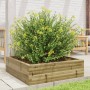 Jardinera de madera de pino impregnada 80x80x23 cm en Macetas y jardineras | Comprar online en Foru.es