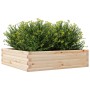 Jardinera de madera maciza de pino 90x90x23 cm en Macetas y jardineras | Comprar online en Foru.es