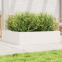 Jardinera de madera maciza de pino blanca 90x90x23 cm en Macetas y jardineras | Comprar online en Foru.es