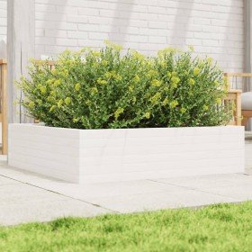 Jardinera de madera maciza de pino blanca 90x90x23 cm en Macetas y jardineras | Comprar online en Foru.es