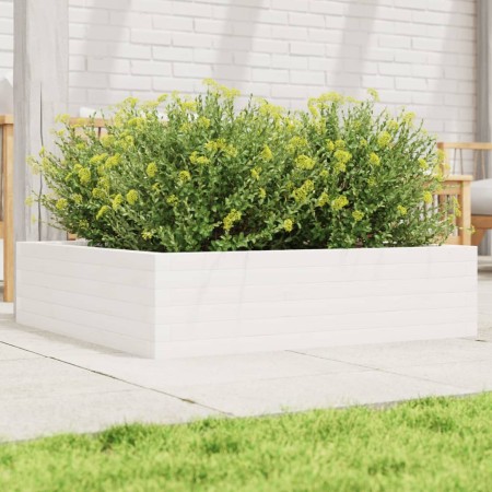 Jardinera de madera maciza de pino blanca 90x90x23 cm en Macetas y jardineras | Comprar online en Foru.es