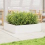 Jardinera de madera maciza de pino blanca 90x90x23 cm en Macetas y jardineras | Comprar online en Foru.es