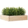 Jardinera de madera maciza de pino 100x100x23 cm en Macetas y jardineras | Comprar online en Foru.es