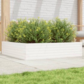 Jardinera madera maciza de pino blanco 100x100x23 cm en Macetas y jardineras | Comprar online en Foru.es