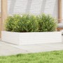 Jardinera madera maciza de pino blanco 100x100x23 cm en Macetas y jardineras | Comprar online en Foru.es