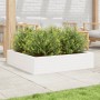 Jardinera madera maciza de pino blanco 100x100x23 cm en Macetas y jardineras | Comprar online en Foru.es