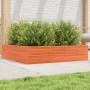 Jardinera de madera maciza de pino marrón cera 100x100x23 cm en Macetas y jardineras | Comprar online en Foru.es
