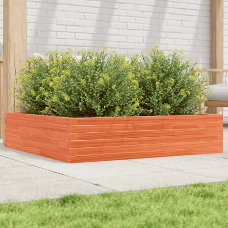 Jardinera de madera maciza de pino marrón cera 100x100x23 cm en Macetas y jardineras | Comprar online en Foru.es