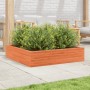 Jardinera de madera maciza de pino marrón cera 100x100x23 cm en Macetas y jardineras | Comprar online en Foru.es