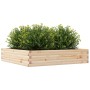 Jardinera de madera maciza de pino 110x110x23 cm en Macetas y jardineras | Comprar online en Foru.es