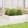 Jardinera de madera maciza de pino blanca 110x110x23 cm en Macetas y jardineras | Comprar online en Foru.es