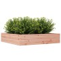 Jardinera madera maciza de abeto Douglas 110x110x23 cm en Macetas y jardineras | Comprar online en Foru.es