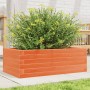 Jardinera de madera maciza pino marrón cera 70x40x23 cm en Macetas y jardineras | Comprar online en Foru.es