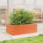 Jardinera de madera maciza pino marrón cera 70x40x23 cm en Macetas y jardineras | Comprar online en Foru.es